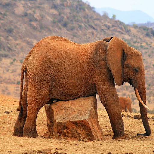 Hd-143729-ascw143729