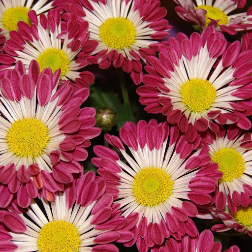 Hd-149204-ascw149204