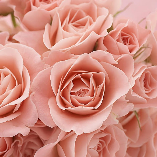 Hd-148250-ascw148250