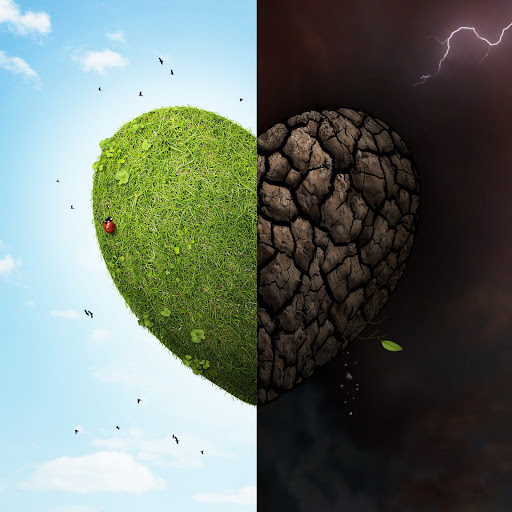 Hd-131078-ascw131078