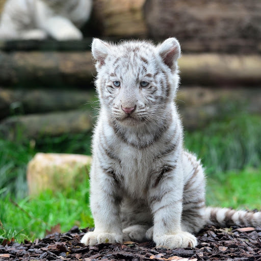 Hd-134691-ascw134691