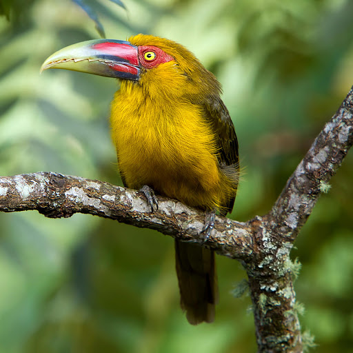 Hd-178181-ascw178181