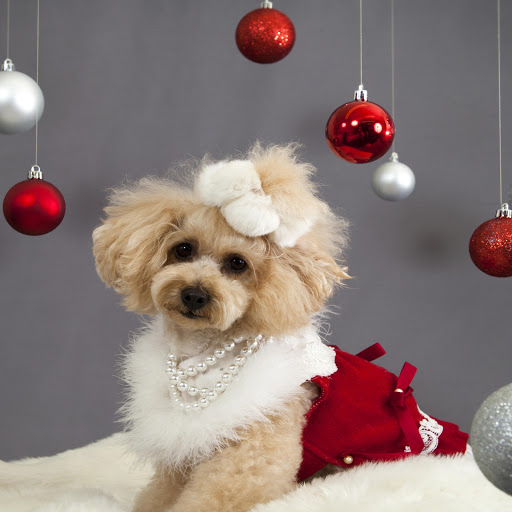 Hd-169418-ascw169418