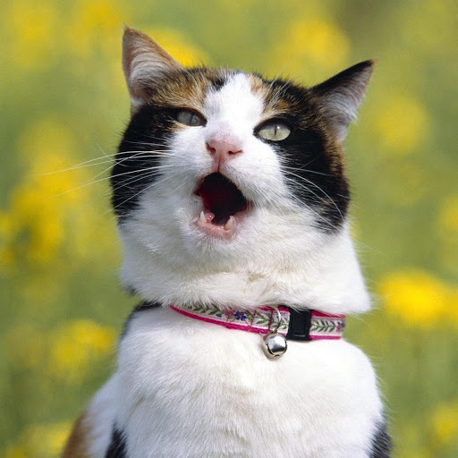 Hd-183404-ascw183404