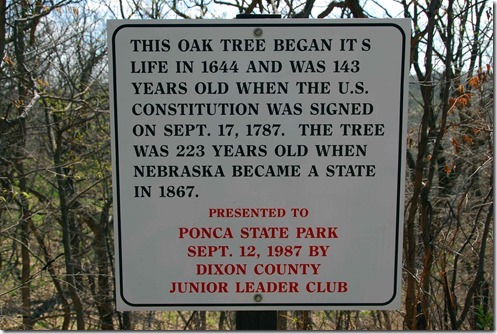 Big Oak Sign