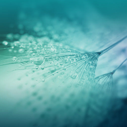 Hd-148189-ascw148189