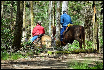 00d - Schoolhouse Gap Trail - Horse Hikers
