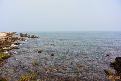 0401 004 - 駱駝岩