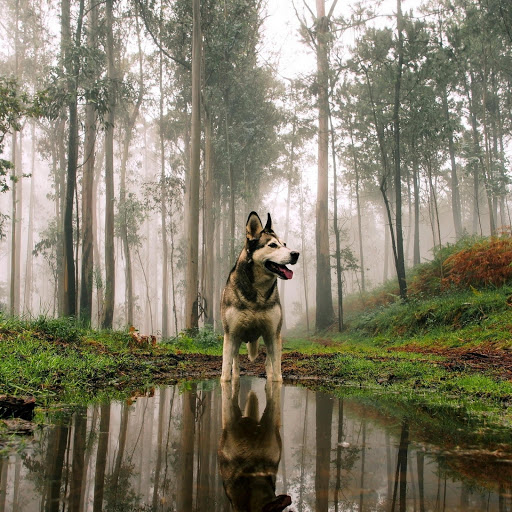 Hd-175694-ascw175694