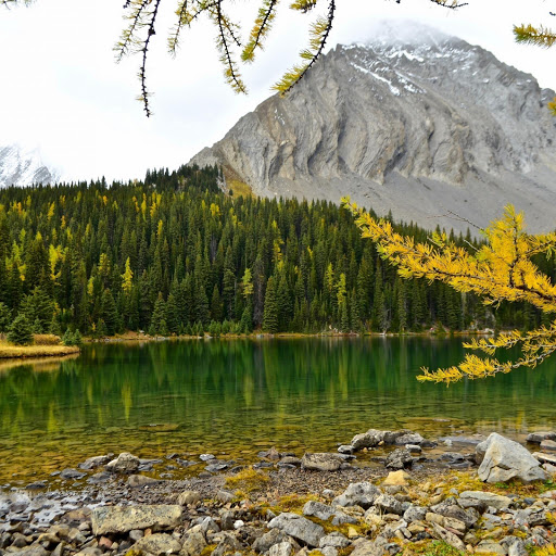 Hd-155637-ascw155637