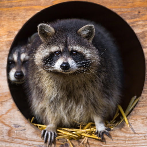 Hd-157663-ascw157663