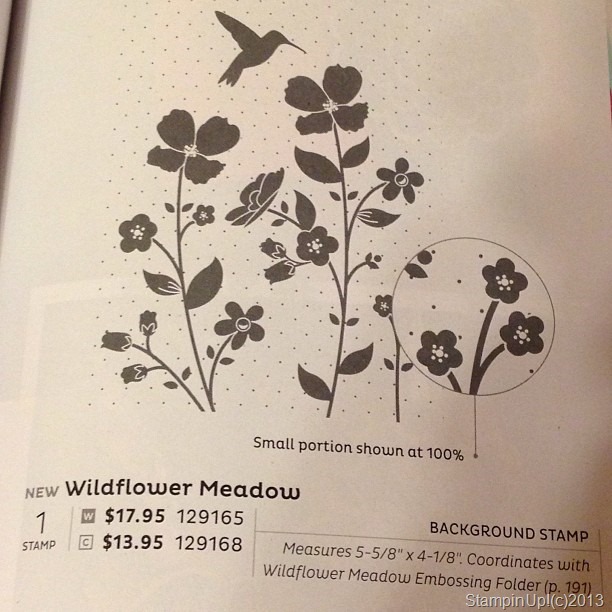 [wildflower%2520meadow%2520catalog%255B8%255D.jpg]