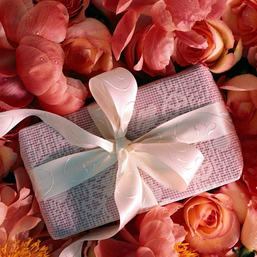 Hd-160819-ascw160819