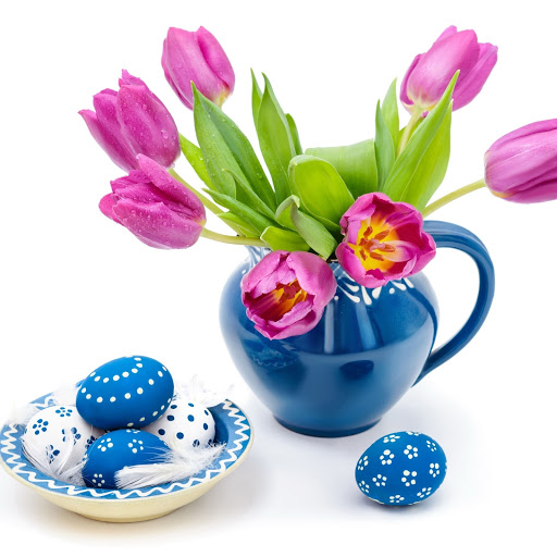 Hd-170516-ascw170516