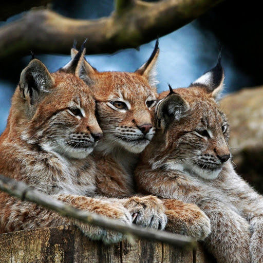 Hd-180992-ascw180992