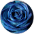 Blumen Rasen Blumen Rasen