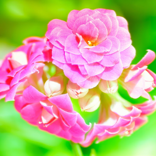 Hd-149390-ascw149390