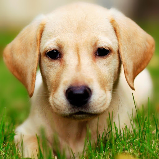 Hd-176149-ascw176149