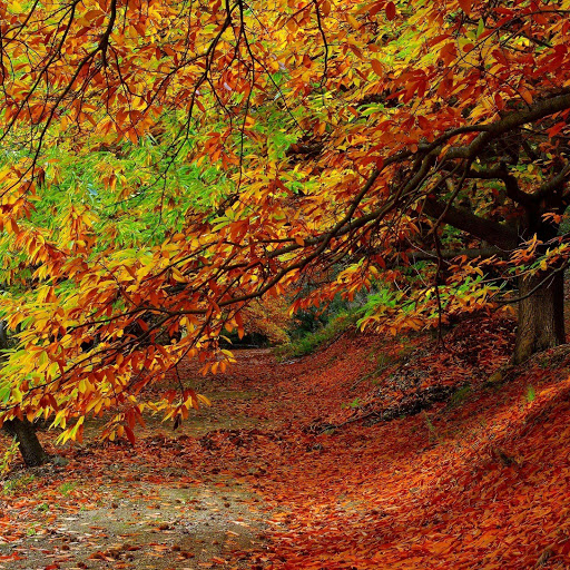 Hd-131422-ascw131422