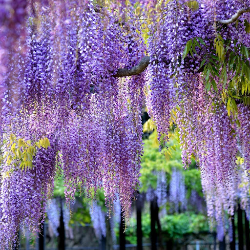 Hd-147610-ascw147610