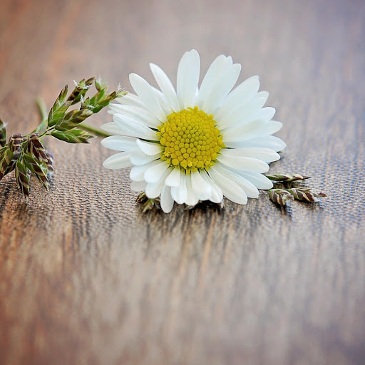 Hd-183779-ascw183779