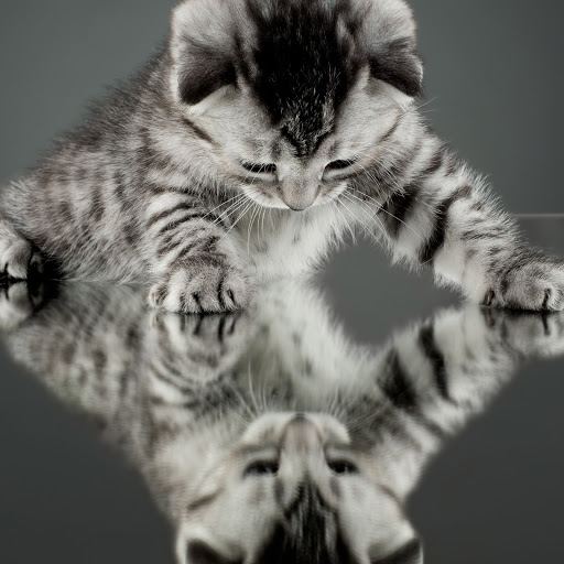 Hd-155798-ascw155798