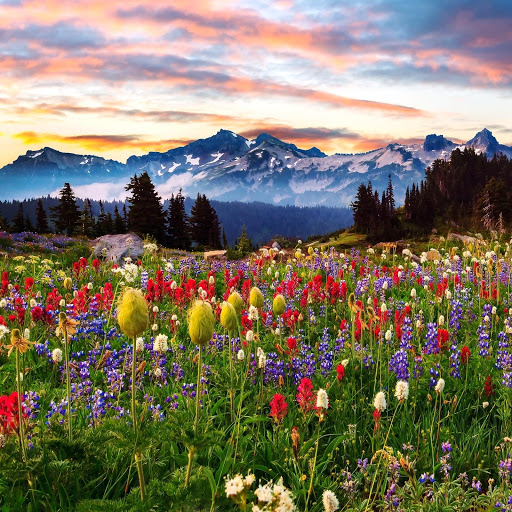 Hd-151524-ascw151524