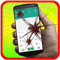Spider Prank icon