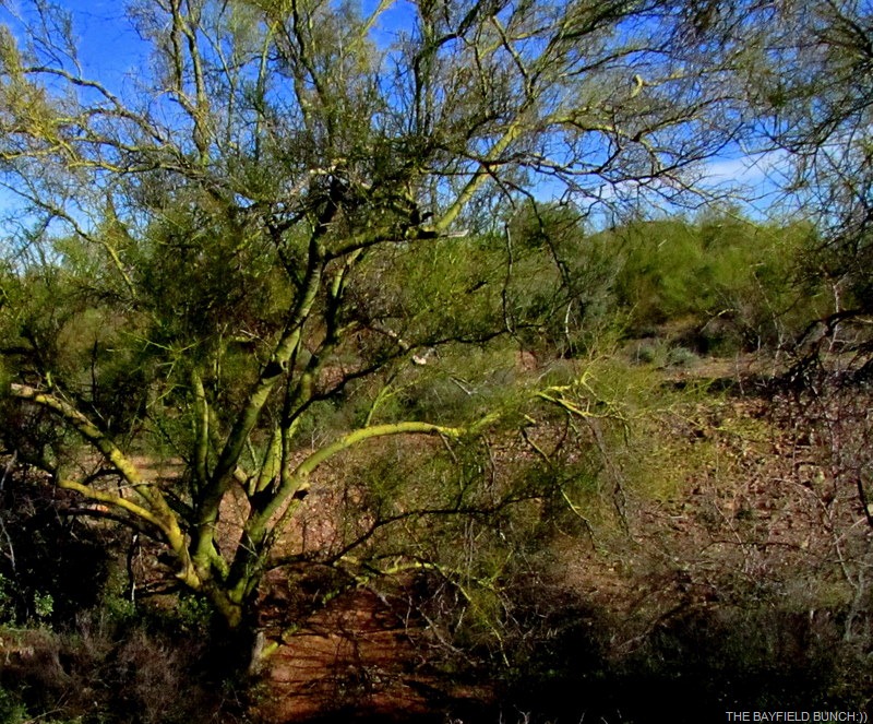 [IMG_1633%255B4%255D.jpg]