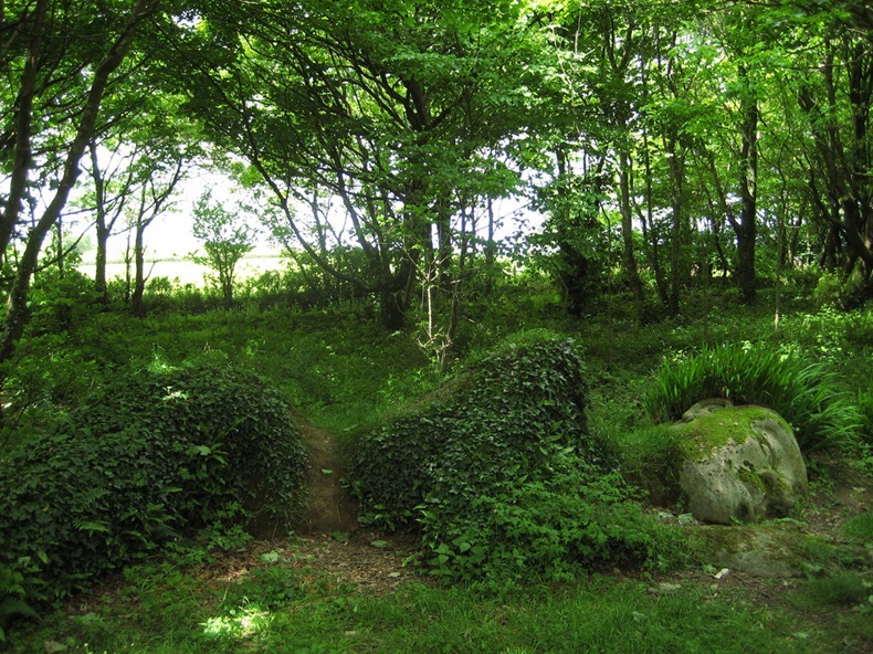 Garden of Heligan in London...! lost-garden-heligen-