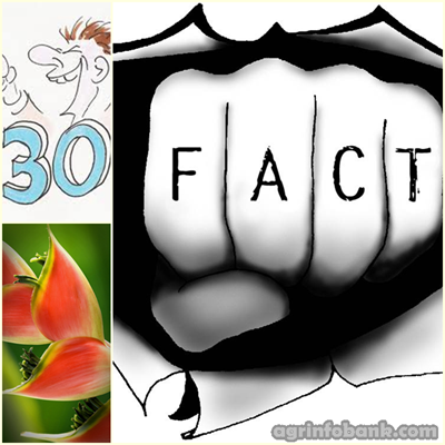 30 Fun Facts About Plants