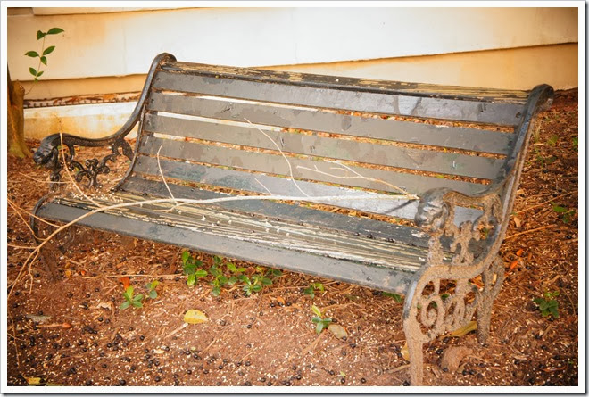 copyright-free-pictures-benches-1 (496)