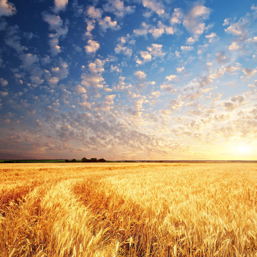 Hd-185357-ascw185357