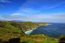 IMG_4429 IMG_4429