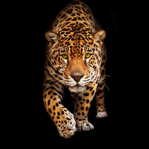 Hd-159904-ascw159904