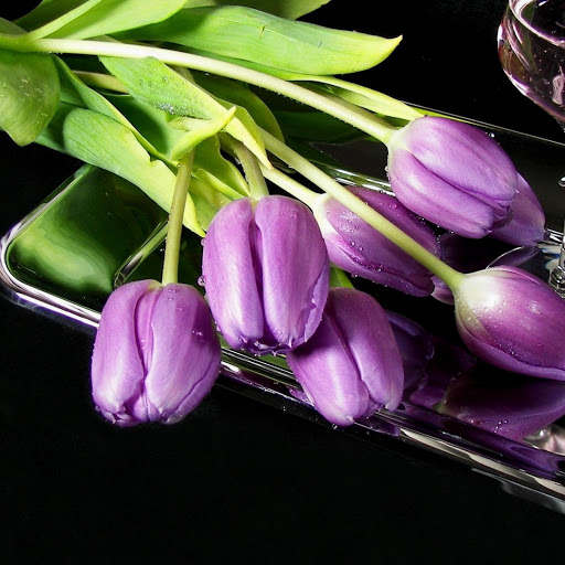 Hd-134486-ascw134486