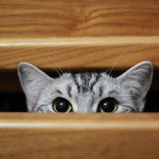 Hd-160094-ascw160094