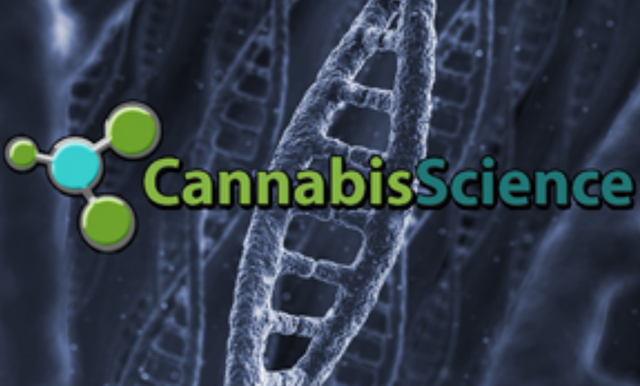 [Cannabis%2520Science%255B4%255D.png]