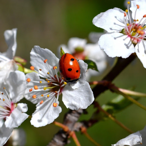 Hd-180124-ascw180124