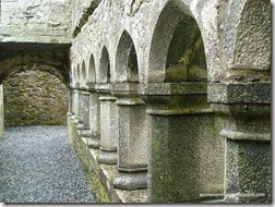 Connemara. Headford. Ruinas del convento Ross Errilly - P5081031
