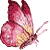 rr.gif