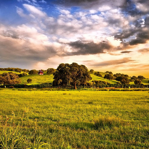 Hd-146376-ascw146376