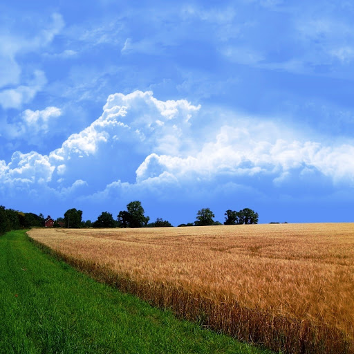 Hd-146290-ascw146290