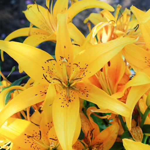 Hd-165812-ascw165812