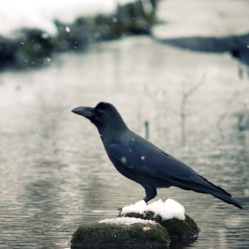 Hd-158542-ascw158542