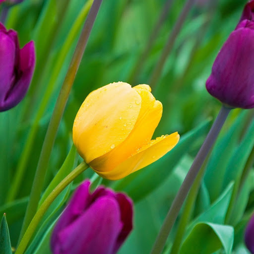 Hd-138099-ascw138099