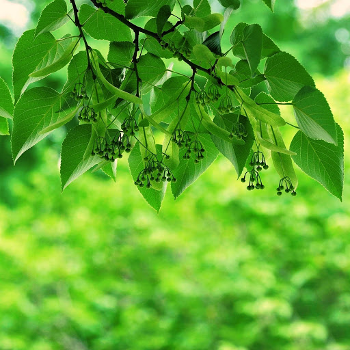 Hd-158742-ascw158742