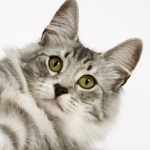 Hd-160421-ascw160421