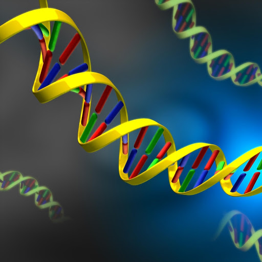 Hd-173864-ascw173864