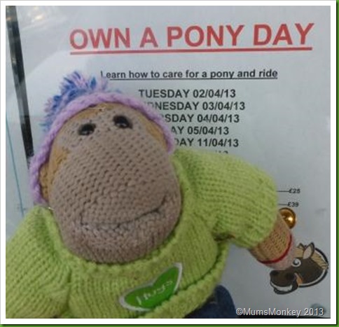 Own a pony day